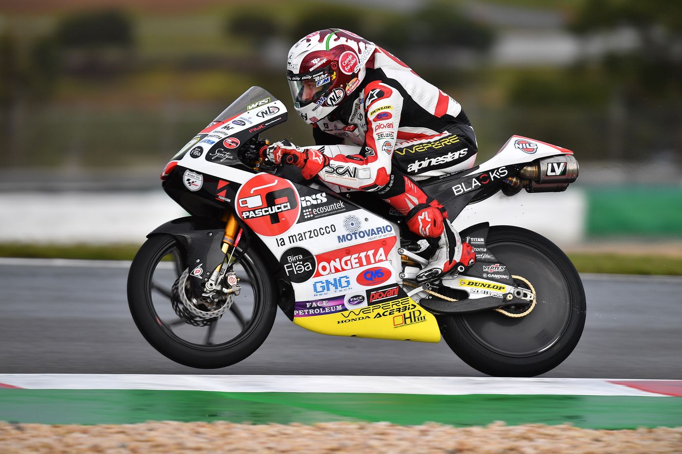 Lorenzo Fellon